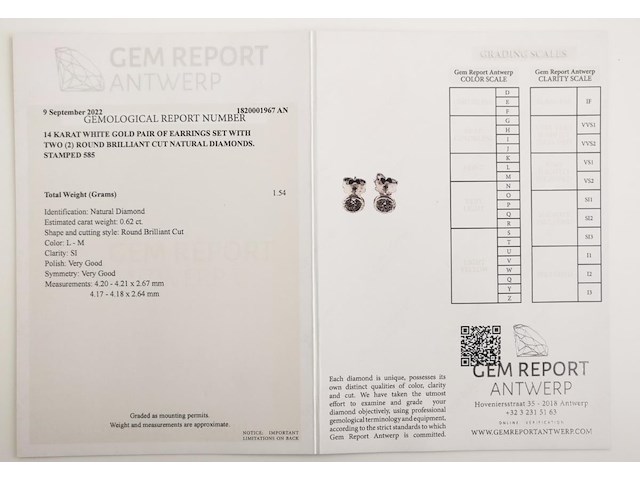 Earrings diamond - afbeelding 7 van  7