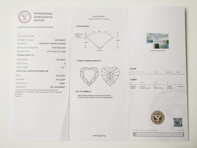Earrings - afbeelding 6 van  6