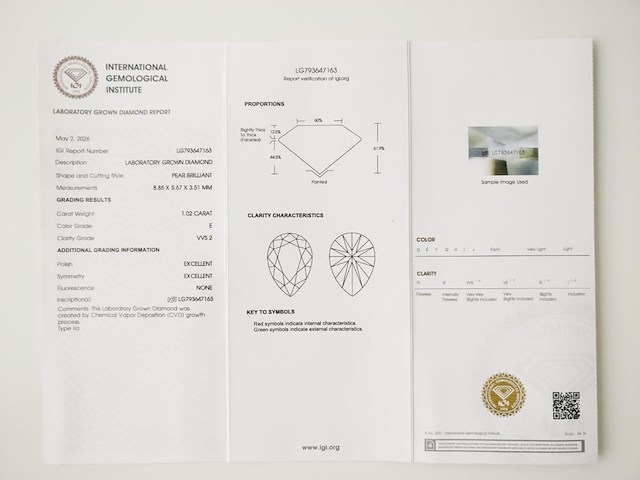 Earrings - afbeelding 8 van  8