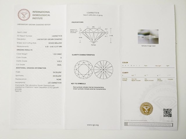 Earrings - afbeelding 8 van  8