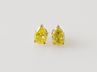 Earrings - afbeelding 1 van  8
