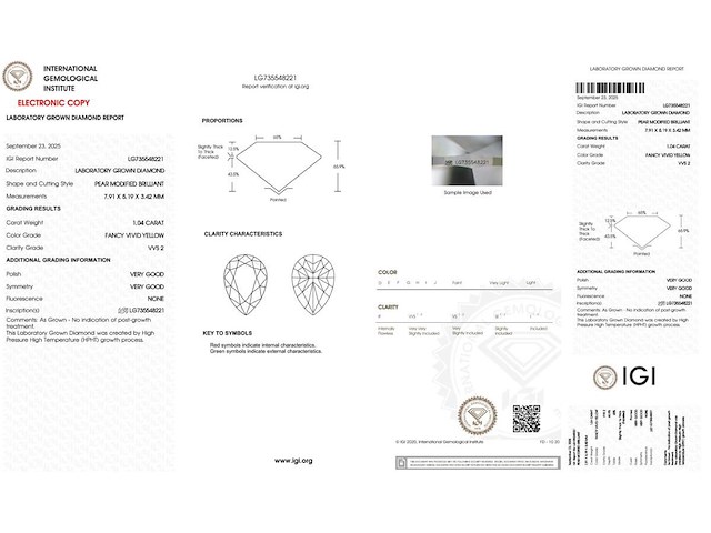 Earrings - afbeelding 7 van  8