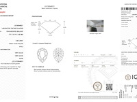 Earrings - afbeelding 7 van  8