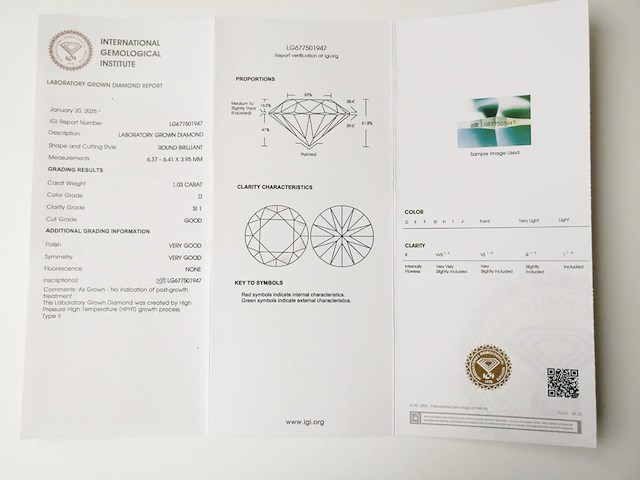 Earrings - afbeelding 7 van  8