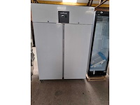 Ecofrost - 2025 - vriezer