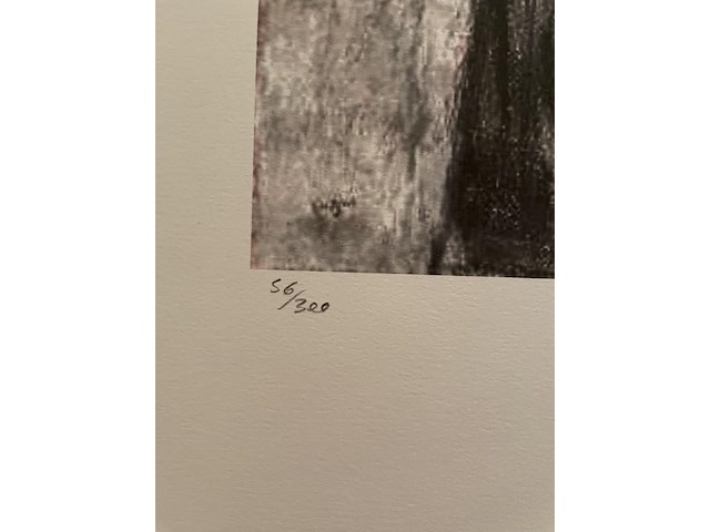 Edgard degas - afbeelding 3 van  4