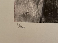 Edgard degas - afbeelding 3 van  4