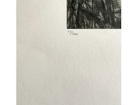 Edgard degas - afbeelding 3 van  4