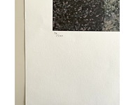 Edgard degas - afbeelding 4 van  5