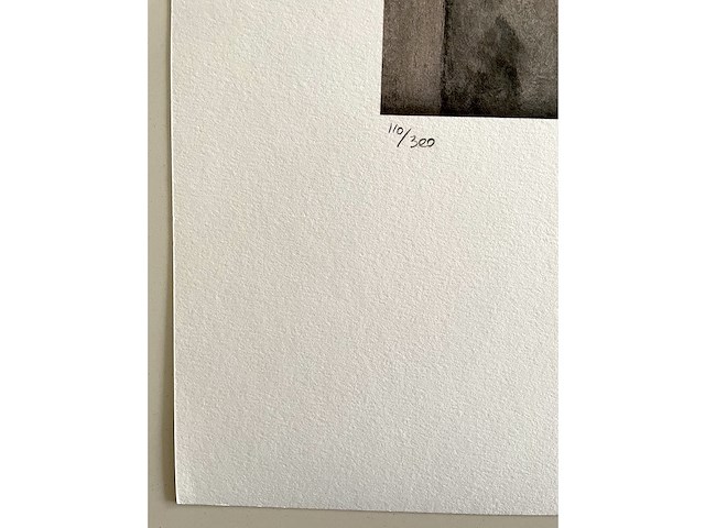 Edgard degas - afbeelding 4 van  4