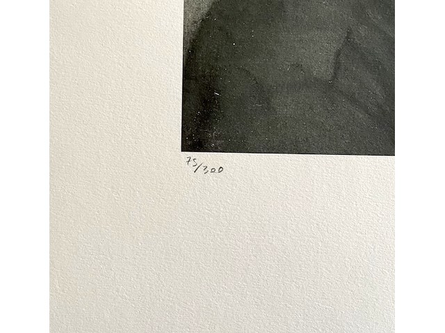 Edgard degas - afbeelding 3 van  4