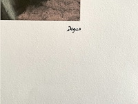 Edgard degas - afbeelding 4 van  4