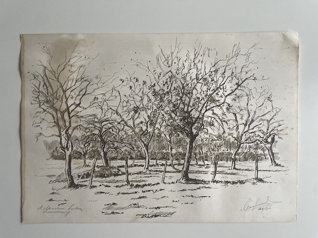 Edward de clercq - afbeelding 10 van  10