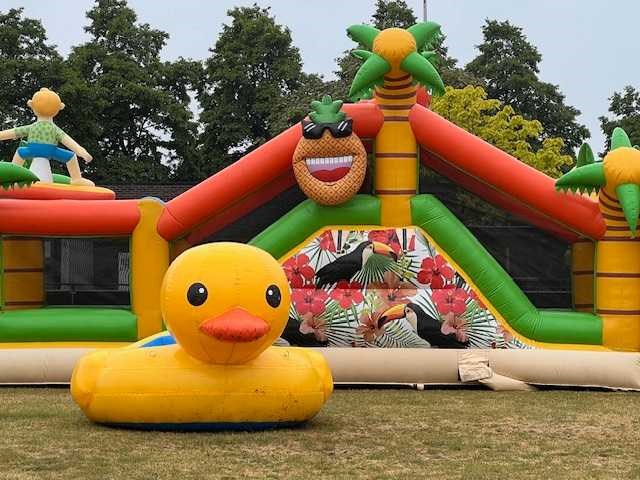 Eendjes vissen - spel - compleet - afbeelding 1 van  1