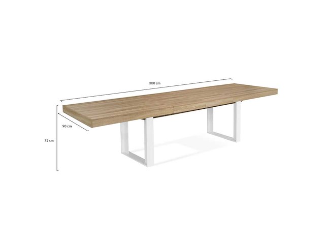 Eettafel 200-300 cm - uitschuifbaar - afbeelding 7 van  9