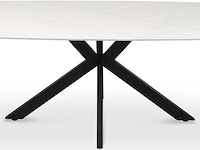 Eettafel apollo | 180 x 90 x 76 cm | stenen design - afbeelding 4 van  7
