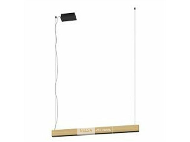 Eglo 39718(0) termini 1 - afbeelding 1 van  3