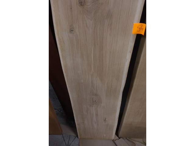 Eiken blad - afbeelding 3 van  3