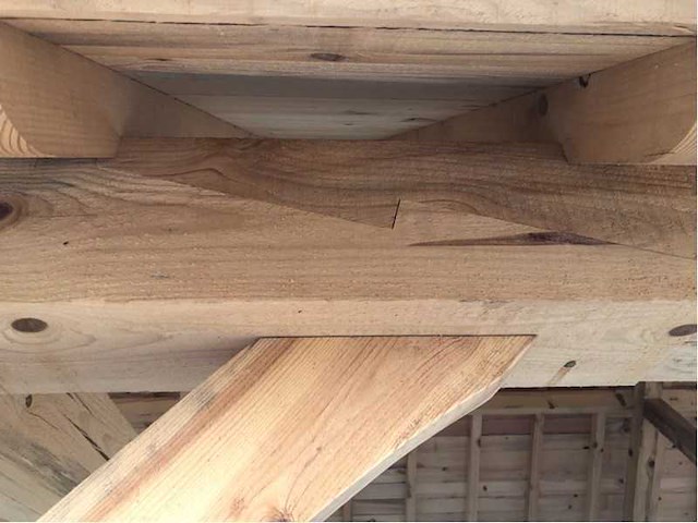 Eiken poolhouse 5x6 - afbeelding 3 van  17