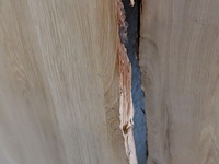 Eiken tafelblad - afbeelding 4 van  6