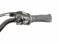 Electrische fiets - afbeelding 2 van  10