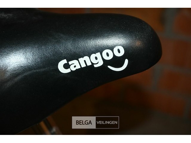 Elektrische bakfiets - afbeelding 5 van  7