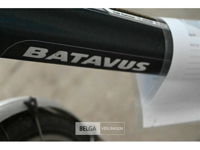 Elektrische damesfiets batavus - afbeelding 4 van  5