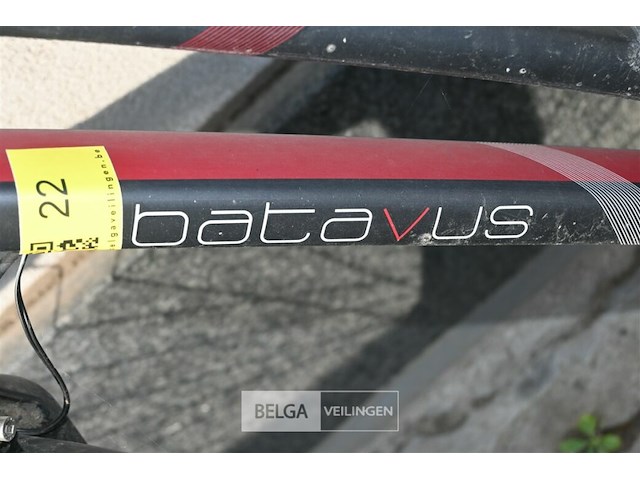 Elektrische damesfiets batavus - afbeelding 4 van  4