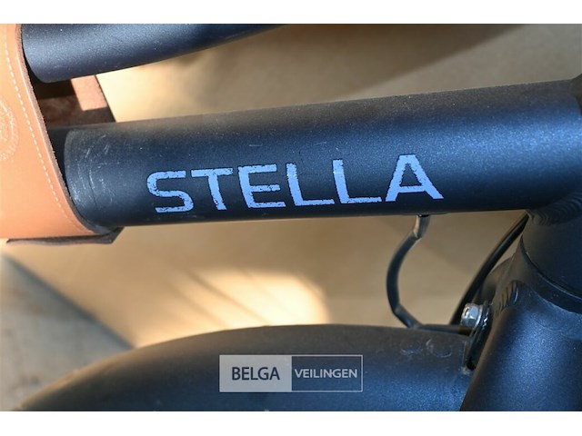 Elektrische damesfiets stella - afbeelding 4 van  4