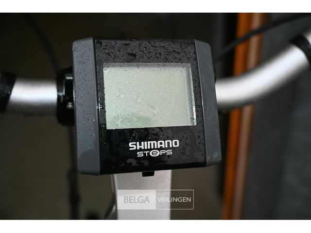 Elektrische damesfiets vogue - afbeelding 5 van  5