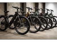 Elektrische damesfietsen