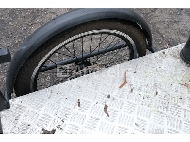 Elektrische driewielige fiets - afbeelding 2 van  18