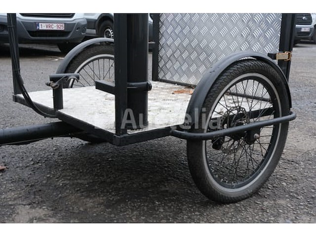 Elektrische driewielige fiets - afbeelding 7 van  18