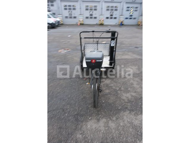 Elektrische driewielige fiets - afbeelding 8 van  18