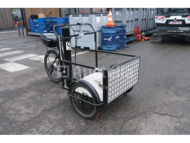 Elektrische driewielige fiets - afbeelding 11 van  18