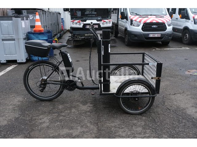 Elektrische driewielige fiets - afbeelding 13 van  18