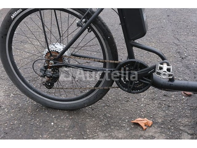 Elektrische driewielige fiets - afbeelding 15 van  18