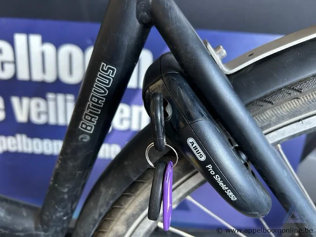 Elektrische fiets batavus, met sleutel, nummer 702-279, lader aanwezig, werking niet gekend - afbeelding 4 van  5