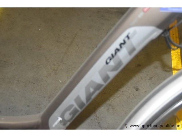 Elektrische fiets, giant, zonder accu, werking niet gekend - afbeelding 2 van  3