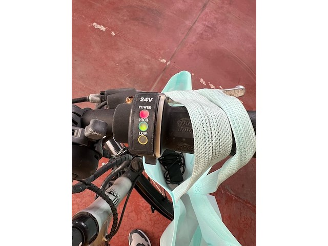 Elektrische fiets panther - afbeelding 4 van  4