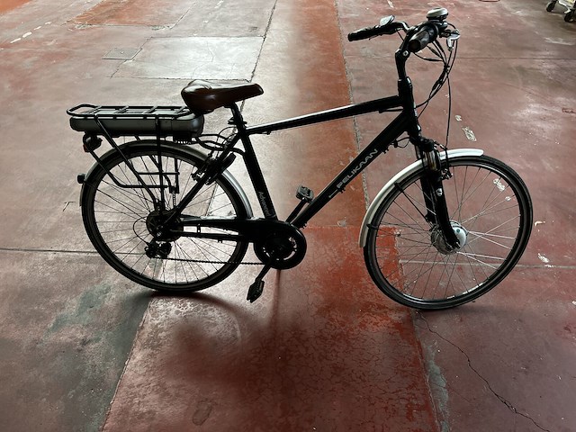 Elektrische fiets pelikaan - afbeelding 3 van  5