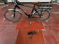 Elektrische fiets pelikaan - afbeelding 5 van  5