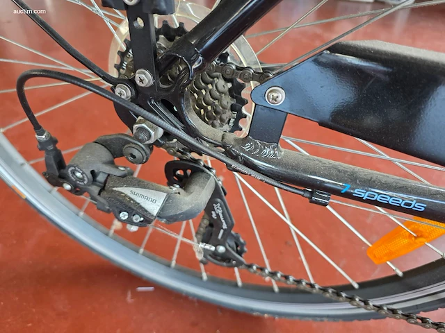 Elektrische fiets wayscral lithium 24v-10ah - afbeelding 8 van  8