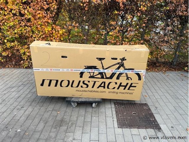 Elektrische fiets - afbeelding 2 van  4