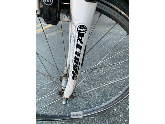 Elektrische fiets - afbeelding 4 van  4