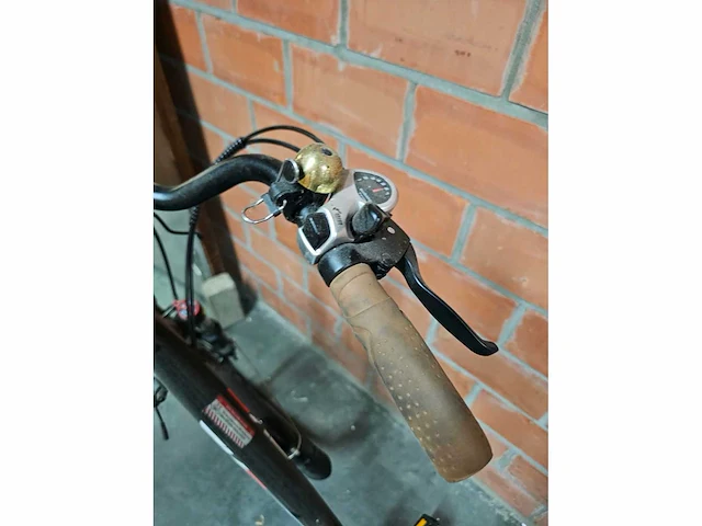 Elektrische fiets - afbeelding 10 van  10