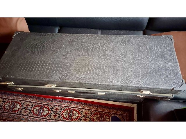 Elektrische gitaar inclusief versterker en kist. - afbeelding 2 van  2