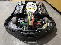 Elektrische kart bizkarts - afbeelding 10 van  15