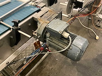 Elektrische rvs transportband beerepoot - afbeelding 2 van  18
