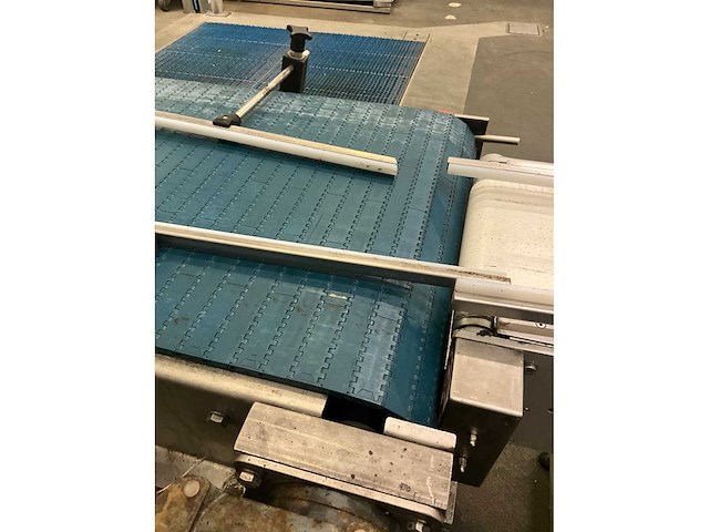 Elektrische rvs transportband beerepoot - afbeelding 4 van  18